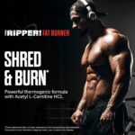JNX Sports® THE RIPPER! 150g (Peach Mango) - Image 7