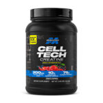 MuscleTech CELL TECH CREATINE 1.32 Kg (Fruit Punch)
