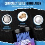 ANIMAL CREATINE 120 Chewable Tabs (Grape) - Image 4