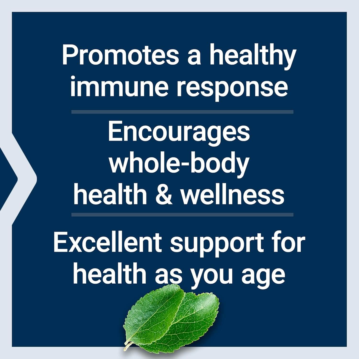 LIFE EXTENSION Black Cumin Seed Oil (60 Softgels) 6