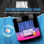ANIMAL CREATINE 120 Chewable Tabs (Fruit Punch) - Image 3