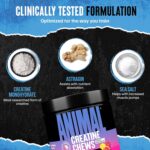 ANIMAL CREATINE 120 Chewable Tabs (Fruit Punch) - Image 5