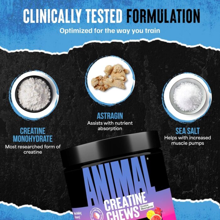 ANIMAL CREATINE 120 Chewable Tabs (Fruit Punch) - Image 5