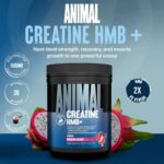 ANIMAL CREATINE HMB+ 327g (Dragon Berry) - Image 3