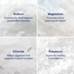 trace 40,000 Volt Electrolyte Concentrate (237 ML) - Image 5