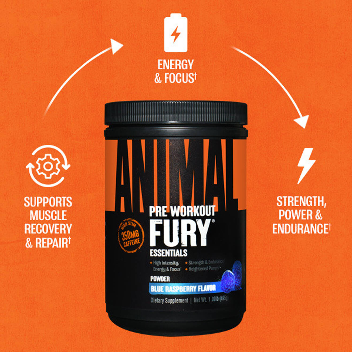 ANIMAL Fury 495g (Blue Raspberry) 12