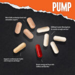 ANIMAL PUMP (30 Packets) - Image 5