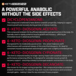 Nutrex Research ANABOL HARDCORE  (60 Liquid-Caps) - Image 5
