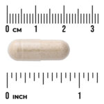 SWANSON Yerba Mate 125 mg (120 Caps) - Image 3