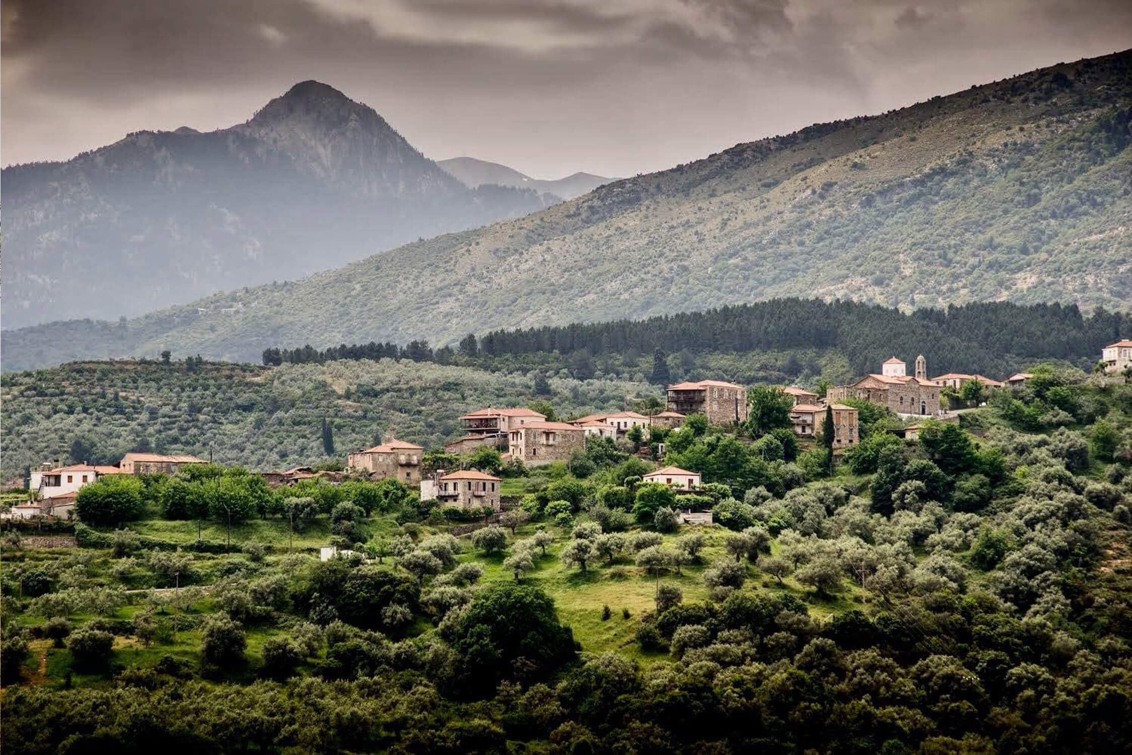 ANCIENT FOODS KERÓS EXTRA VIRGIN ORGANIC GREEK OLIVE OIL 6