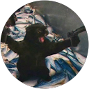 Red G’s Avatar